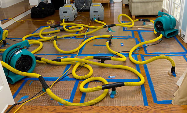 Professional Burst Pipe Water Damage technician working in Switzer, WV